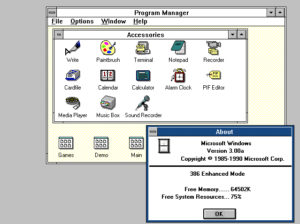 Windows 3.0