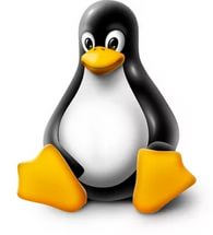 Символ linux
